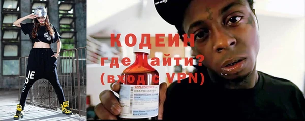 шишки Горно-Алтайск