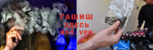 шишки Горно-Алтайск