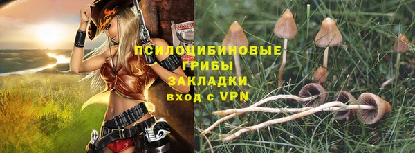первитин Гвардейск