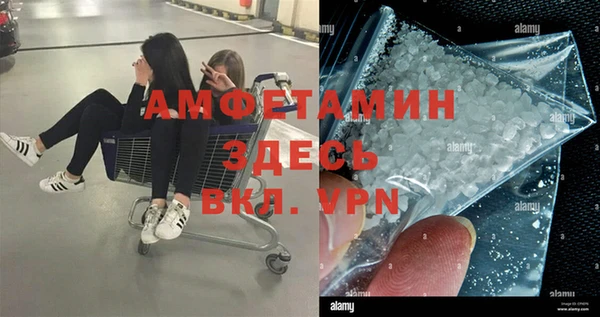 шишки Горно-Алтайск