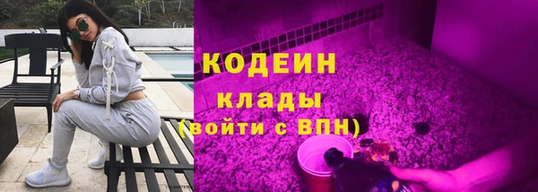 гидропоника Дмитриев